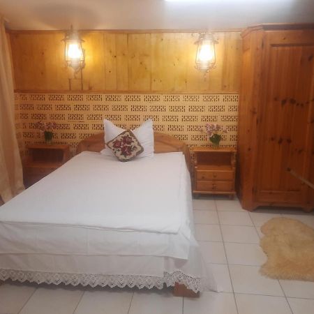 Apartament Pe Malul Raului Bega Тимишоара Экстерьер фото