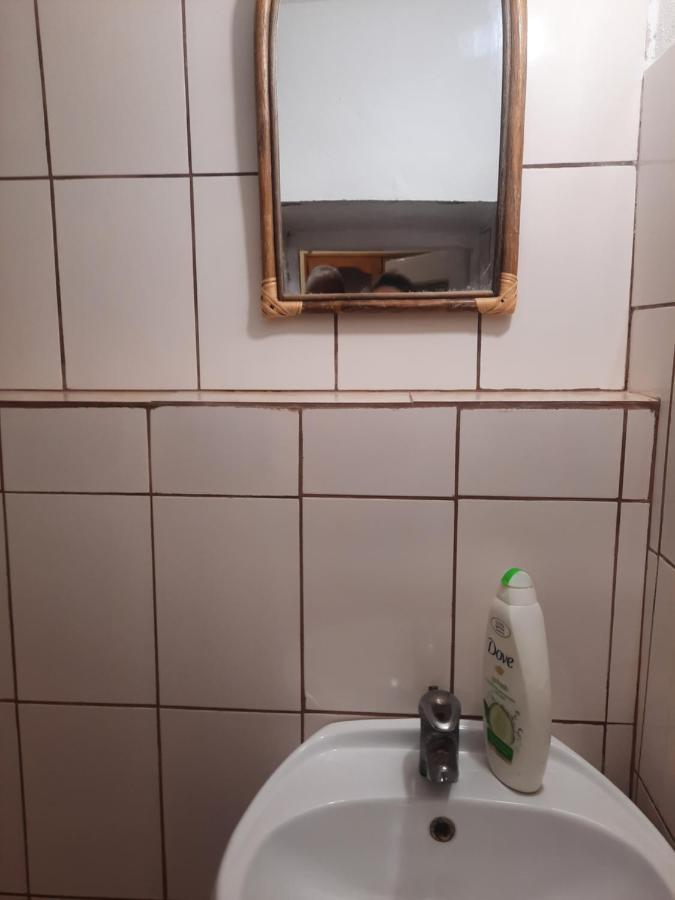 Apartament Pe Malul Raului Bega Тимишоара Экстерьер фото