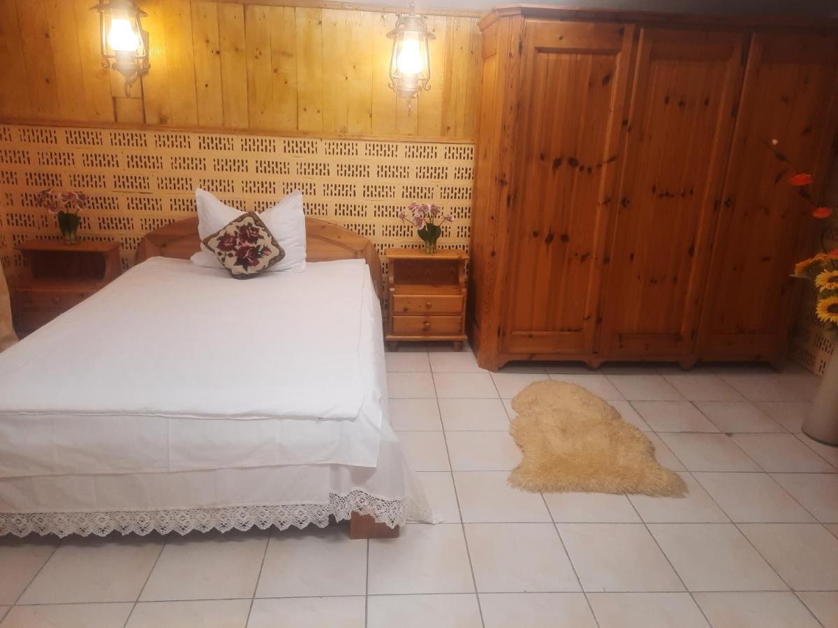 Apartament Pe Malul Raului Bega Тимишоара Экстерьер фото